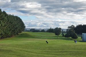 Waverley 11th Tee